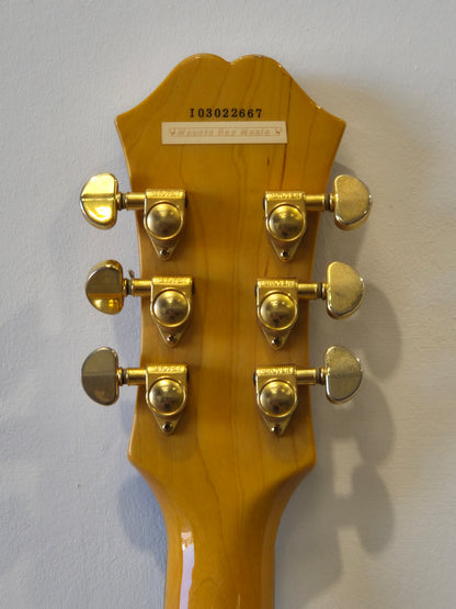 Epiphone Dot Deluxe Flame - Semi-Hollow Body Electric Guitar - Excellent