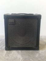 Roland Cube 60 Guitar Amp – 60W Combo, COSM Modeling, Built-In Effects, Dual Channels, 12