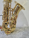Amati AAS23 Alto Saxophone - Eb Key - Excellent w/ Hard Case & Strap - Photo 5