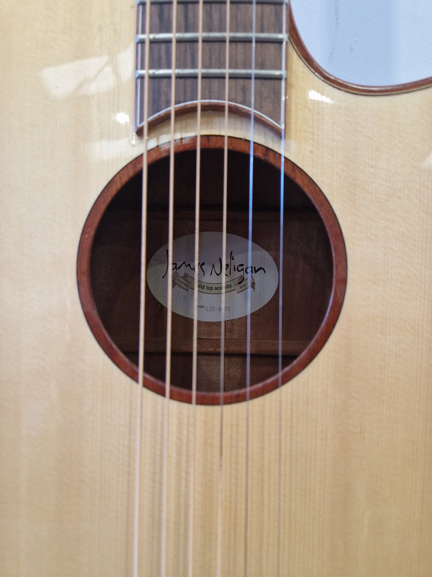 James Neligan LIS-ACFI - High-Quality Acoustic-Electric Guitar - Excellent