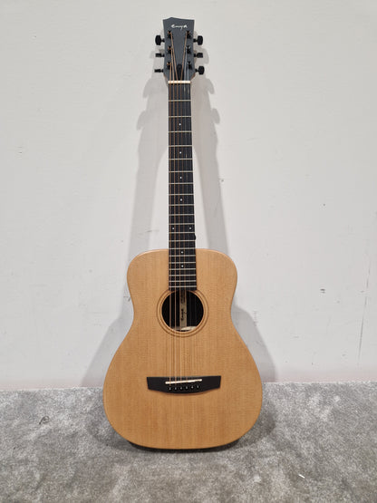 Enya Eb/x1/pro Acoustic Guitar - Carbon Fiber Body, EQ System - Excellent w/ Soft Case & Guitar accessories