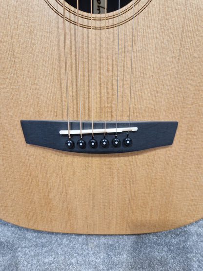 Enya Eb/x1/pro Acoustic Guitar - Carbon Fiber Body, EQ System - Excellent w/ Soft Case & Guitar accessories