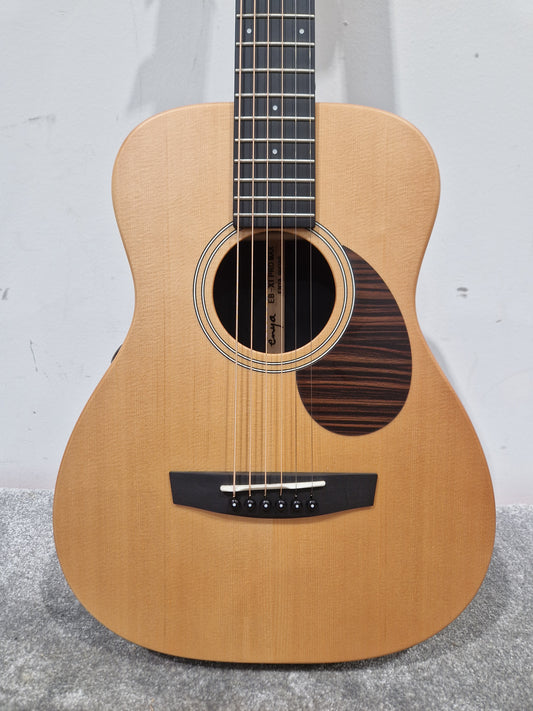 Enya Eb-x1 Max Acoustic Guitar - Carbon Fiber Construction, Built-in Electronics - Excellent w/ Manuals & Soft Case & Guitar acessories & tags