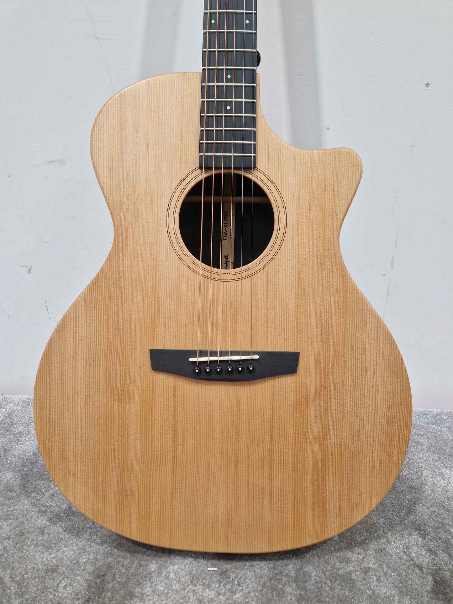 Enya Ega-x1-pro Acoustic Guitar - Carbon Fiber Construction, Fishman Preamp - Excellent w/ Soft Case
