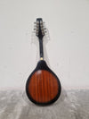 Aria Am-20 A-style Acoustic Mandolin - Spruce Top, Mahogany Back - Good - Photo 6