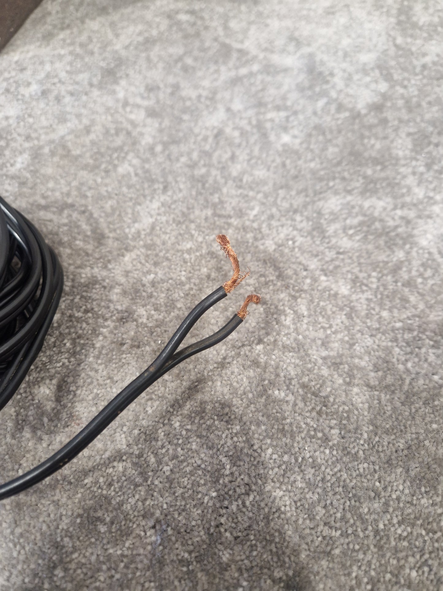 Celestion 66 Studio Monitor Speaker Pair - Nearfield Reference Monitors - Excellent w/ Connector cables