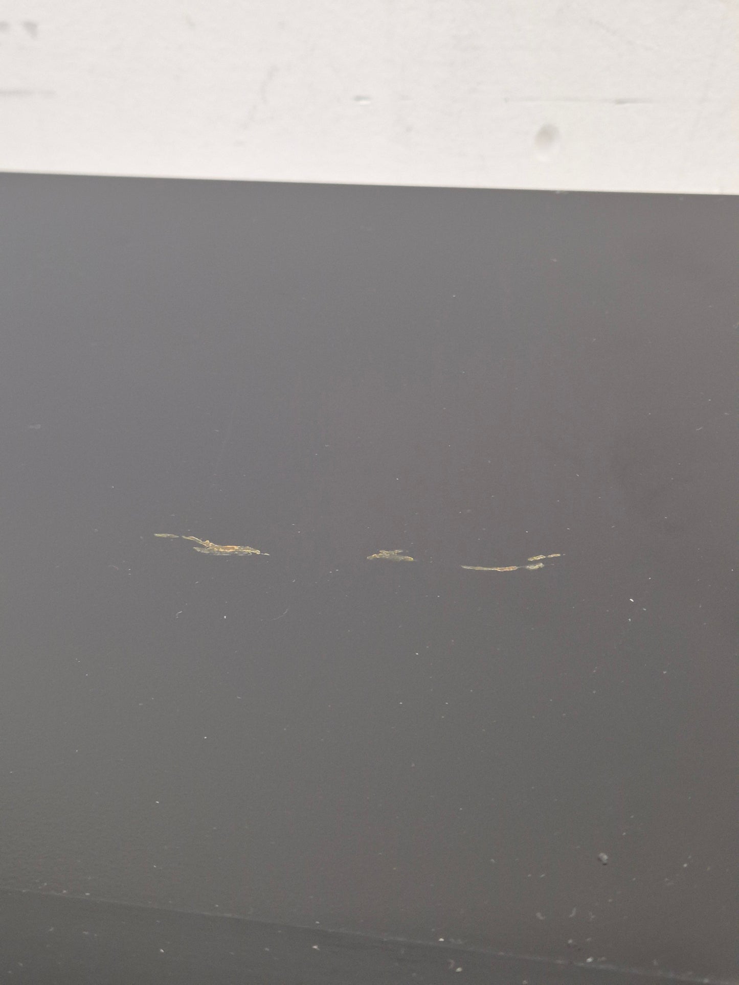 Denon DCD-960 - High-Fidelity CD Player - Fair w/ Power Supply