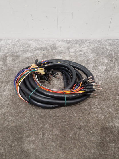 12 Channel Turnkey Cable 20FT - Professional Audio Connection - Excellent