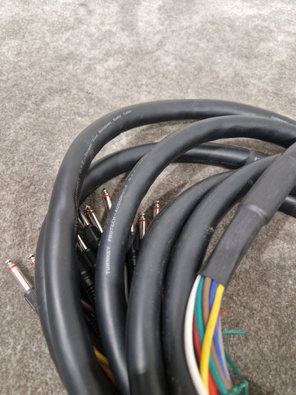 12 Channel Turnkey Cable 20FT - Professional Audio Connection - Excellent