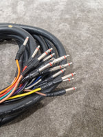 12 Channel Turnkey Cable 20FT - Professional Audio Connection - Excellent - Image 8