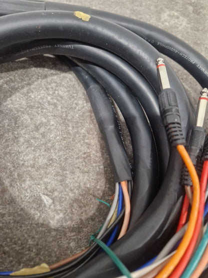 12 Channel Turnkey Cable 20FT - Professional Audio Connection - Excellent