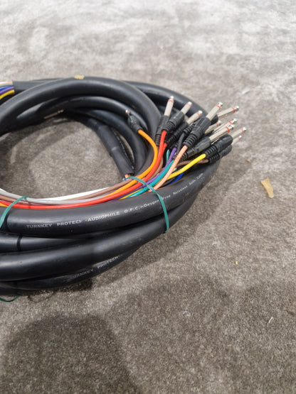 12 Channel Turnkey Cable 20FT - Professional Audio Connection - Excellent