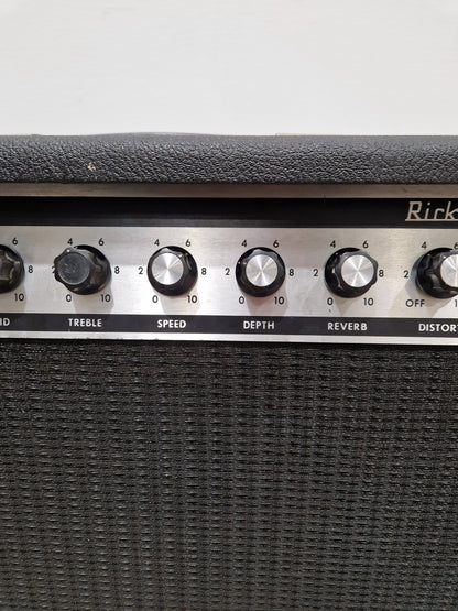 Rickenbacker TR25 - 25W Solid-State Combo Amp - Good w/ Power Supply