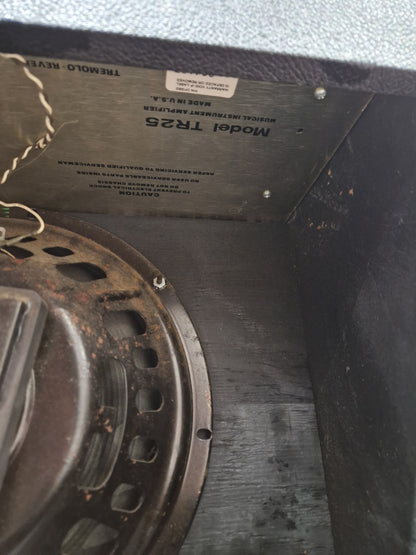 Rickenbacker TR25 - 25W Solid-State Combo Amp - Good w/ Power Supply