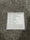Technics Strict Tempo Vol 2 For Technics Kn1400-7000 - Performance Accompaniment - Excellent - Photo 2
