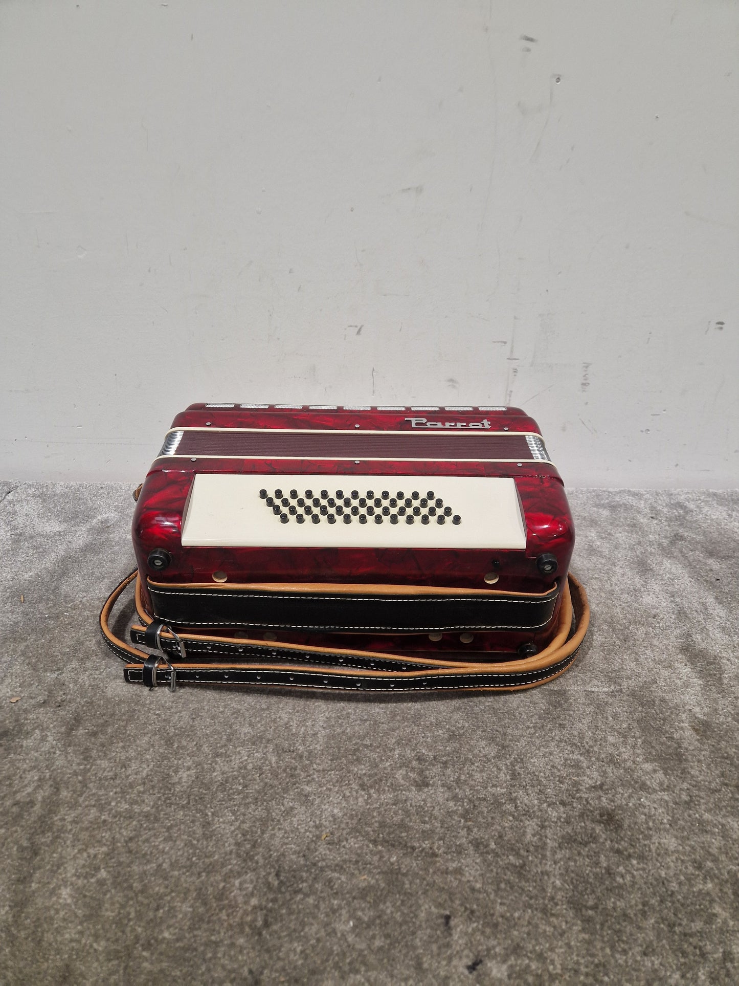 Parrot Accordion 1407 48 Bass 34 Key - Compact Design - Excellent w/ Hard Case