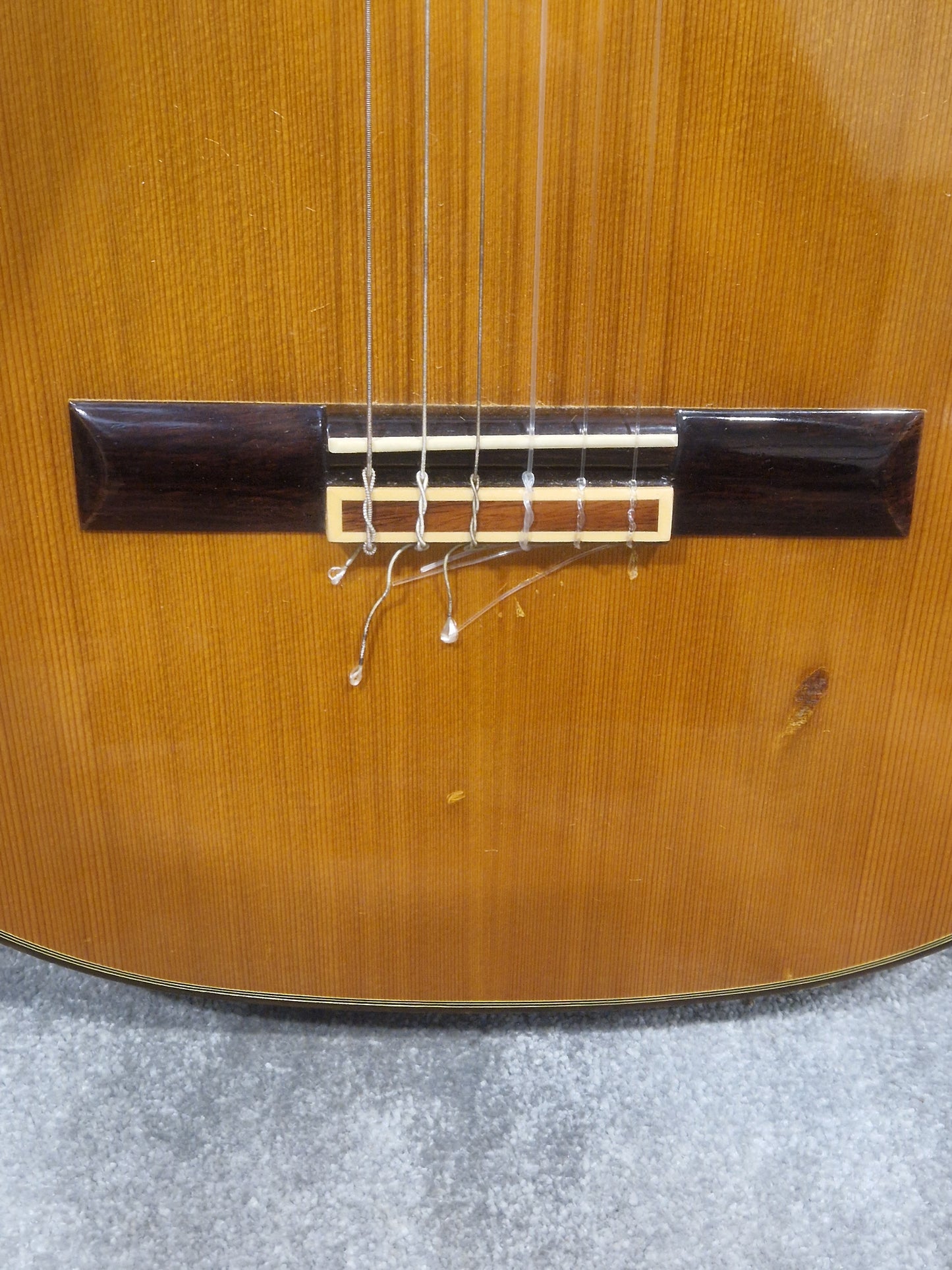 Ibanez Andorra S/N 2860 - Classical Acoustic Guitar - Good w/ Hard Case