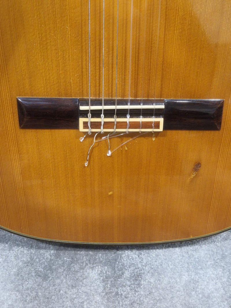 Ibanez Andorra S/N 2860 - Classical Acoustic Guitar - Good w/ Hard Case - Image 8