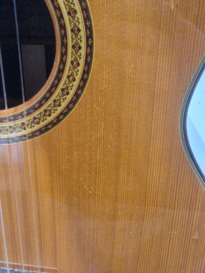 Ibanez Andorra S/N 2860 - Classical Acoustic Guitar - Good w/ Hard Case