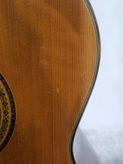 Ibanez Andorra S/N 2860 - Classical Acoustic Guitar - Good w/ Hard Case