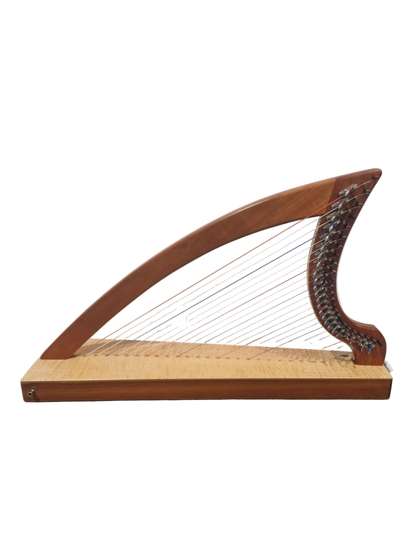 Triplett Christina 25 Therapy Harp S/N 05514 - Light System Installed - Excellent w/ Soft Case And Certification - Image 1