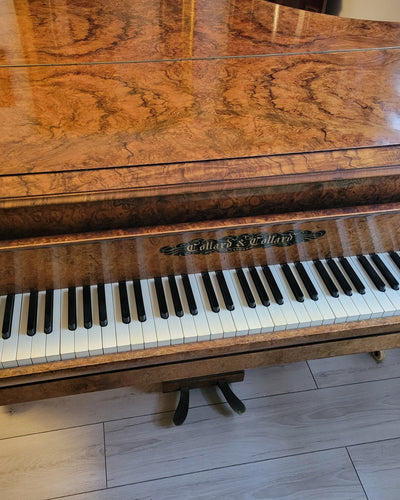 Collard & Collard Grand Piano - Burr Walnut - Excellent (Read Description)