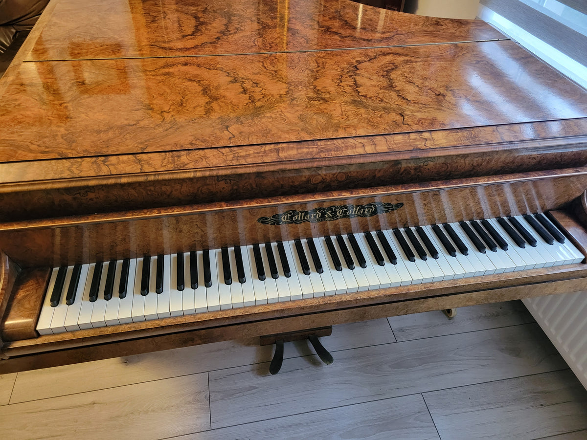 Collard & Collard Grand Piano - Burr Walnut - Excellent (Read Description)