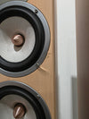 Gale 4040 - Tower Speakers - Pair - Wood - Good - Photo 3