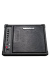 Torque TM100P - Stage Monitor - Angled - Good - Photo 1
