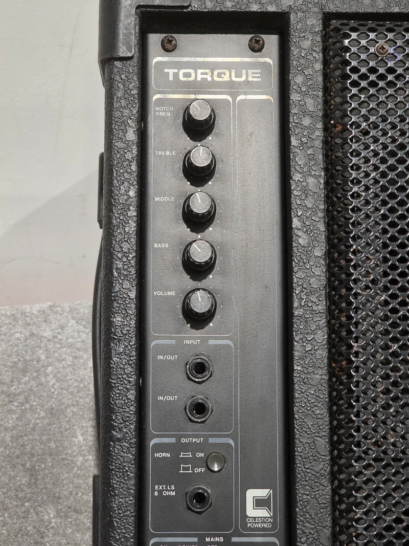 Torque TM100P - Stage Monitor - Angled - Good - Image 3