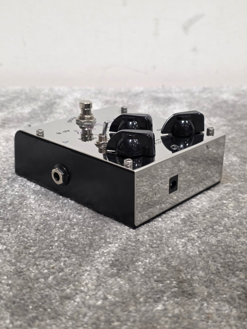 Biyang AD-8 ToneFormer - Double Chip Analog Delay Pedal - Good - Image 4