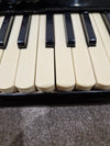 Baile Ballerina Piano Accordion Black Accordion - Well-Preserved Craftsmanship - Good w/ Hard Case - Photo 5