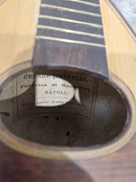 Cesare Montaldi Fabbrica Di Mandolini Made in Napoli 1900s Project mandolin - Good - Image 5