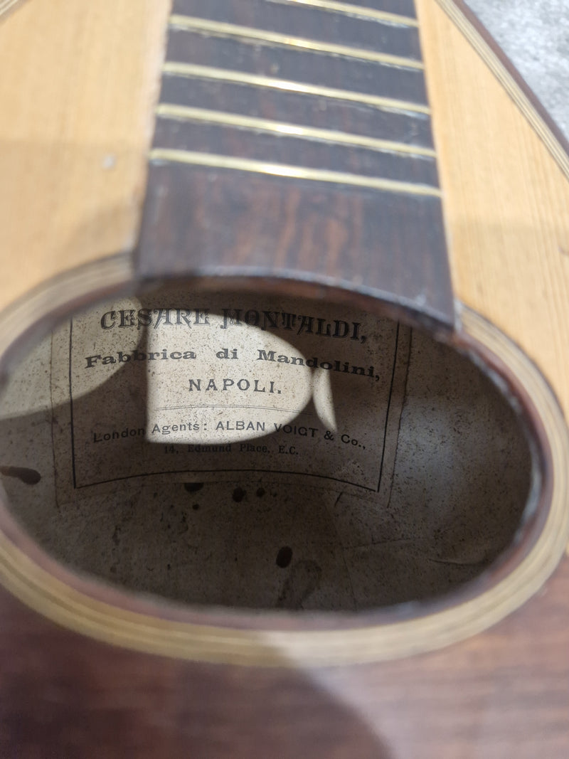 Cesare Montaldi Fabbrica Di Mandolini Made in Napoli 1900s Project mandolin - Good - Image 5