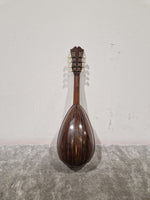 Cesare Montaldi Fabbrica Di Mandolini Made in Napoli 1900s Project mandolin - Good - Image 16