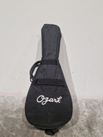 Tanglewood Twmf Vse- Electro-Acoustic Mandolin - Whiskyburst – Mandolin - Excellent w/ Soft Case - Image 5