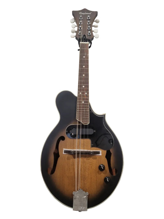 Tanglewood Twmf Vse- Electro-Acoustic Mandolin - Whiskyburst – Mandolin - Excellent w/ Soft Case