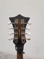 Tanglewood Twmf Vse- Electro-Acoustic Mandolin - Whiskyburst – Mandolin - Excellent w/ Soft Case - Image 15