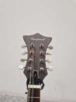 Tanglewood Twmf Vse- Electro-Acoustic Mandolin - Whiskyburst – Mandolin - Excellent w/ Soft Case - Image 16