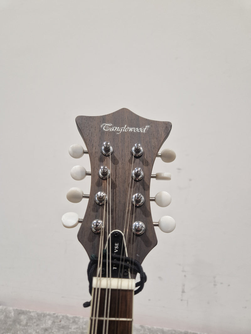 Tanglewood Twmf Vse- Electro-Acoustic Mandolin - Whiskyburst – Mandolin - Excellent w/ Soft Case - Image 16
