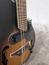 Tanglewood Twmf Vse- Electro-Acoustic Mandolin - Whiskyburst – Mandolin - Excellent w/ Soft Case - Photo 9