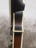 Tanglewood Twmf Vse- Electro-Acoustic Mandolin - Whiskyburst – Mandolin - Excellent w/ Soft Case - Image 13