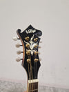 Vintage VFM300F - Mandolin - Sunburst - Excellent w/ Hard Case - Photo 3