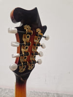 Vintage VFM300F - Mandolin - Sunburst - Excellent w/ Hard Case - Image 2