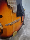 Vintage VFM300F - Mandolin - Sunburst - Excellent w/ Hard Case - Photo 4