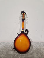 Vintage VFM300F - Mandolin - Sunburst - Excellent w/ Hard Case - Image 8