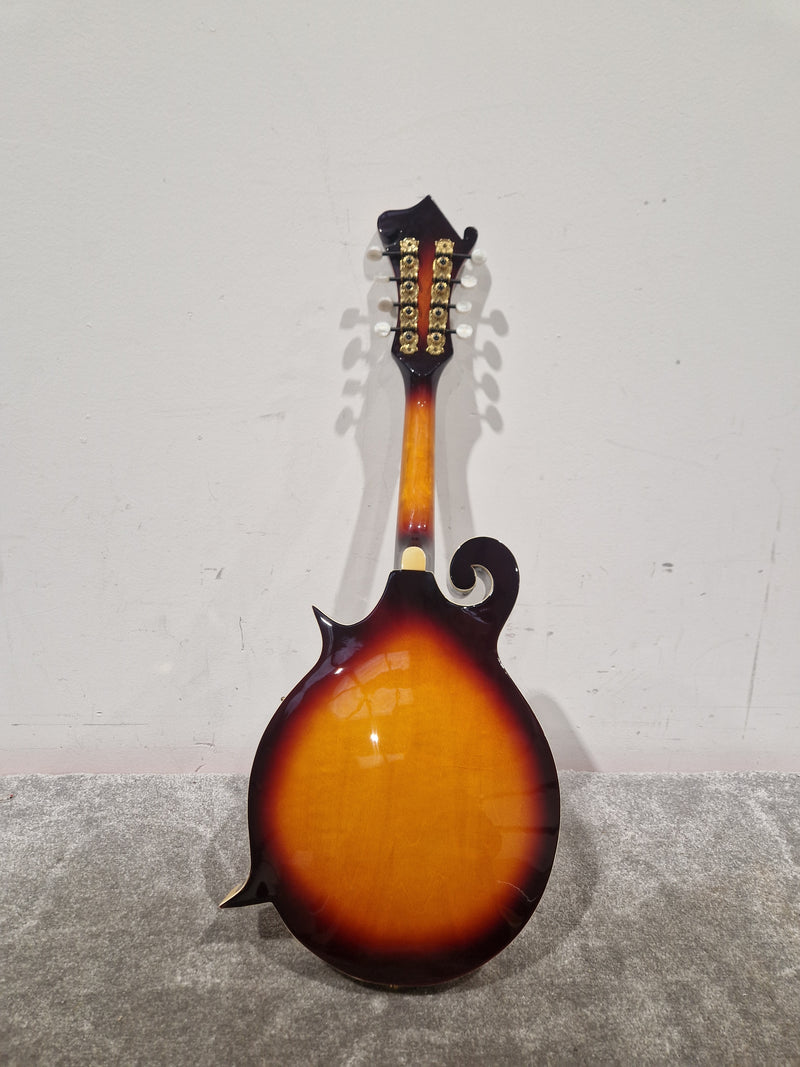 Vintage VFM300F - Mandolin - Sunburst - Excellent w/ Hard Case - Image 8