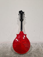 Suzuki MF-300 - Mandolin - Sunburst - Excellent - Image 3