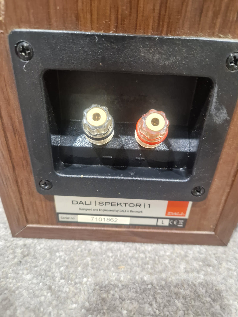 DALI ZENSOR PICO Compact Speaker HI-FI Set - Walnut – Compact Speaker - Excellent - Image 3