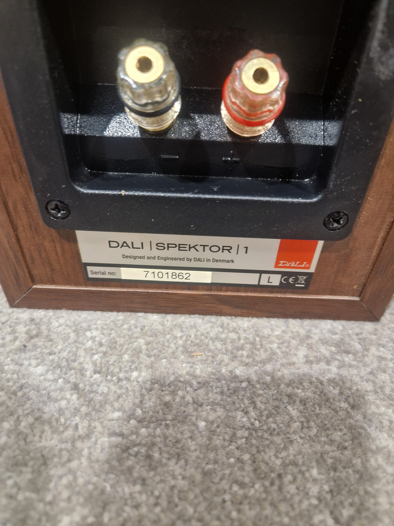 DALI ZENSOR PICO Compact Speaker HI-FI Set - Walnut – Compact Speaker - Excellent - Image 4